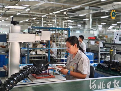 專(zhuān)精特新“小巨人”技術(shù)服務(wù)探訪記——秦皇島經(jīng)濟(jì)技術(shù)開(kāi)發(fā)區(qū)見(jiàn)聞