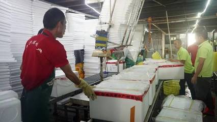 日配超70噸，九江魚(yú)興港以預(yù)制菜解鎖魚(yú)的百變吃法